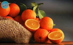 تاثیر پرتقال و آووکادو در کُند کردن روند پیری