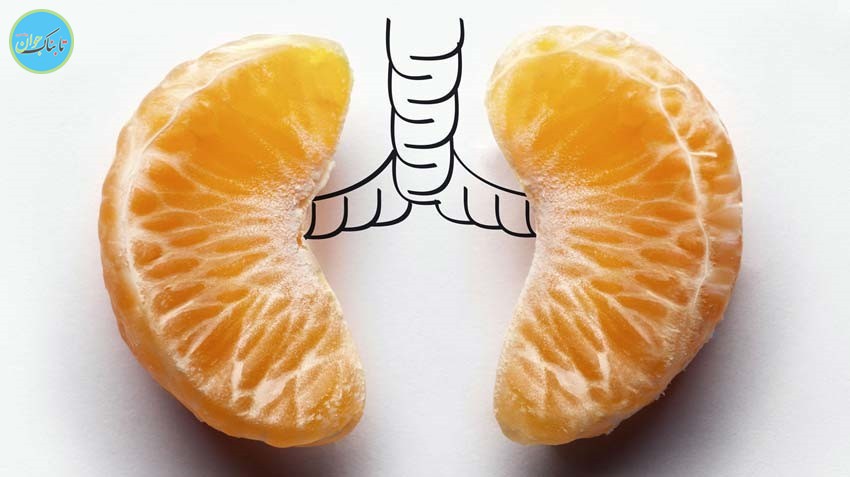 ۱۱ گام تا پاکسازی ریه‌ها