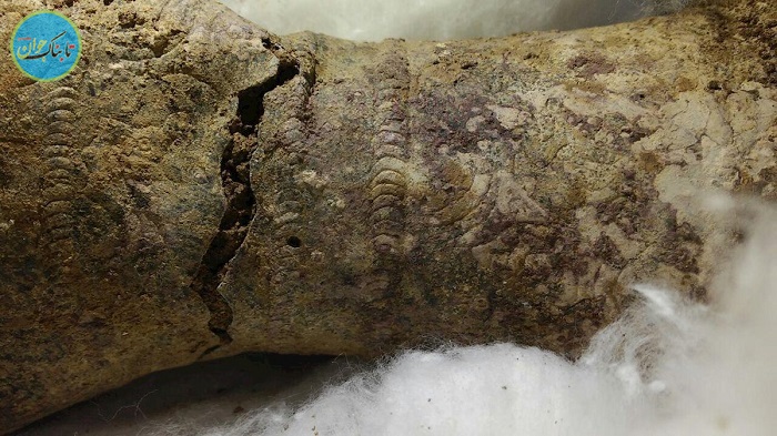 کشف جام ۳ هزار ساله از گوری در استان اردبیل