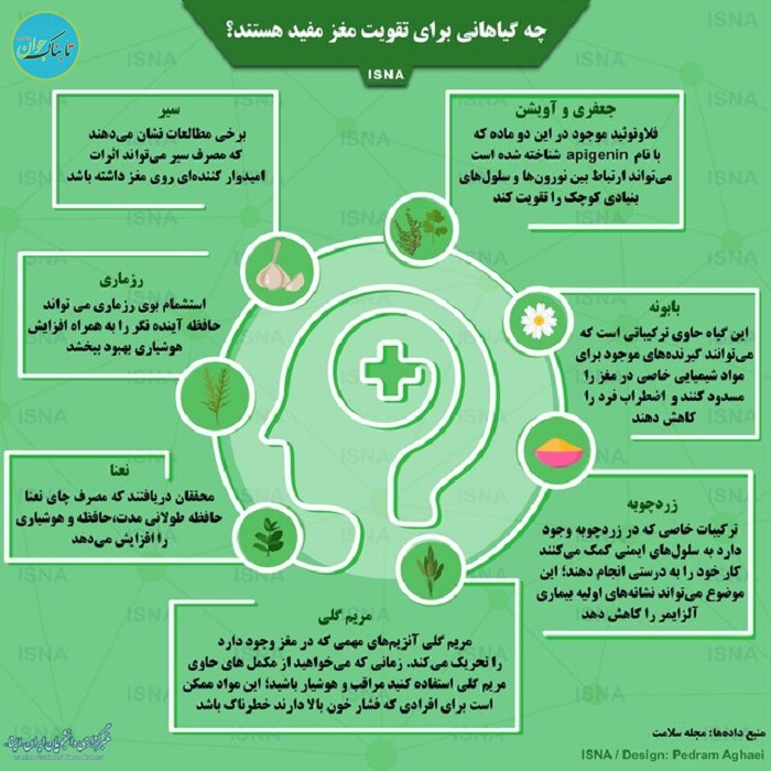 گیاهانی که در تغویت مغز موثر اند
