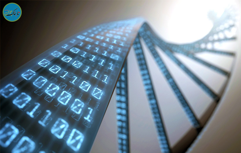 ذخیره سازی اطلاعات در قالب دی ان ای برای اولین بار