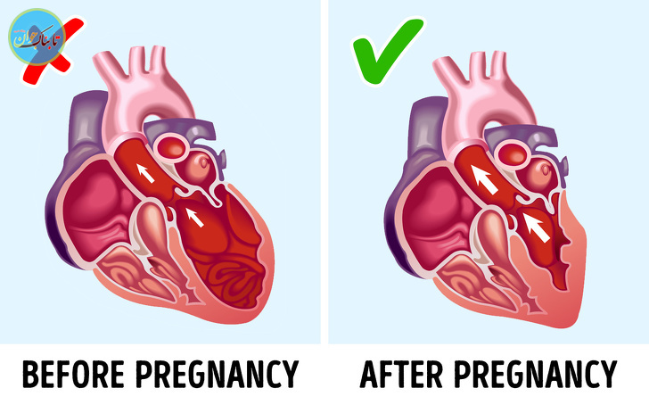 حقایق باورنکردنی درباره دنیا که شگفت زده میشوید!