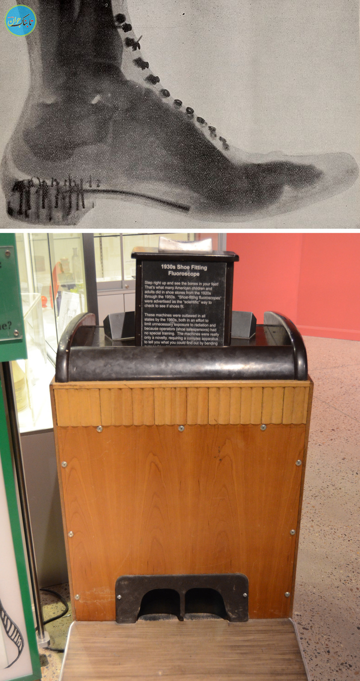 حقایق باورنکردنی درباره دنیا که شگفت زده میشوید!