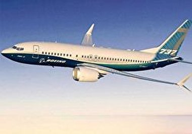 روایت شاهدان عینی از سقوط هواپیمایی اوکراینی: خدا پدر خلبان و بیامرزه