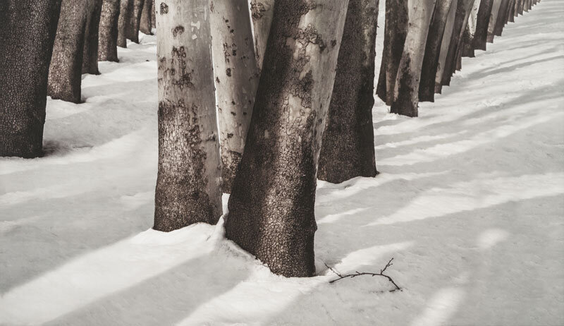 اثری از عباس کیارستمی