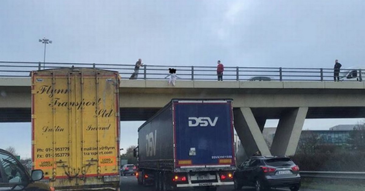 اقدام جالب راننده تریلی برای جلوگیری از خودکشی دختر جوان + عکس