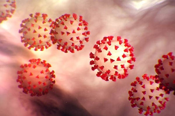 ویروس کرونا