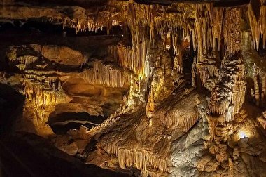 کشف سر کوسه ۳۳۰ میلیون ساله در آمریکا