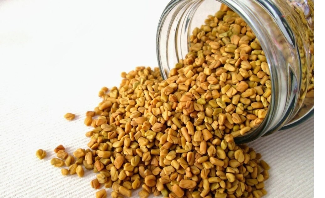 دانه های شنبلیله