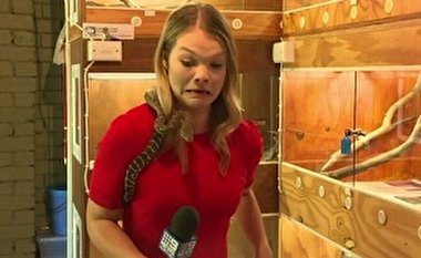 حمله ناگهانی مار به میکروفن خبرنگار!