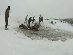 نجات اسب ها از دریاچه یخ زده+فیلم