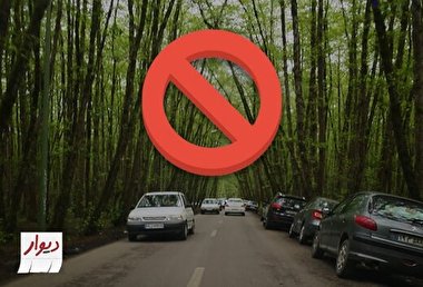 اقدام سایت دیوار برای در خانه ماندن مردم به خاطر کرونا