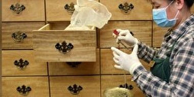 آمریکایی ها برای مقابله با کرونا سراغ طب سنتی چین رفتند