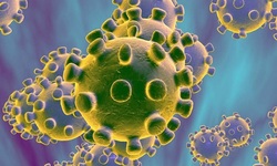 آیا ویروس کرونا در آب از بین می‌رود؟