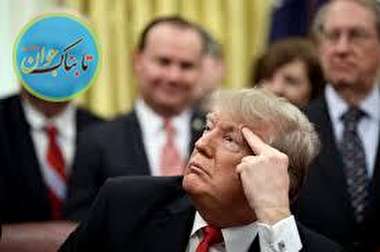 پینوکیو آمریکایی + فیلم