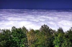 دریای ابرها در جنگل ابر شاهرود+ فیلم