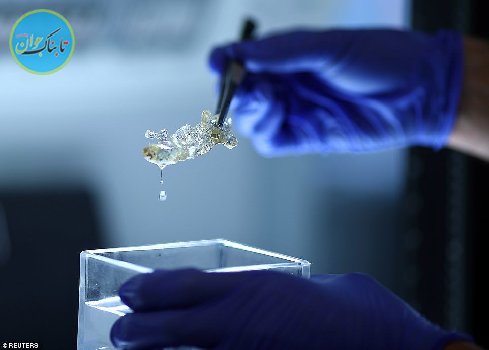 ساخت اعضای بدن انسان توسط محققان در آلمان برای پیوند کلیه