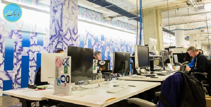 بی علاقگی فارغ التحصیلان دانشگاهی به کار در فیس بوک