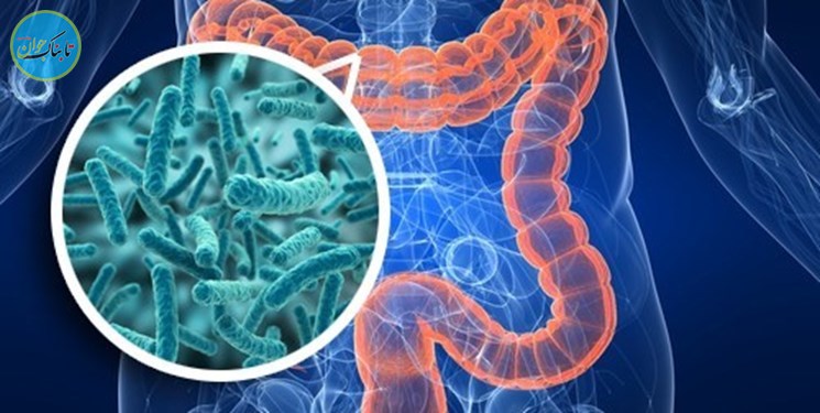 چرا تاثیر یک دارو بر افراد مختلف متفاوت است؟