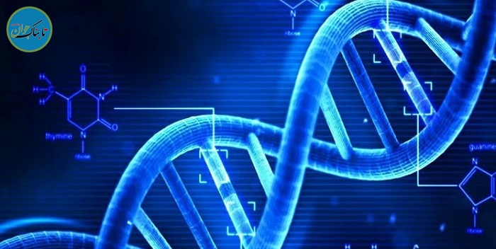 نخستین دستکاری ژنتیک سلول‌های بنیادی در بدن