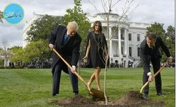 درخت دوستی ترامپ و ماکرون خشک شد