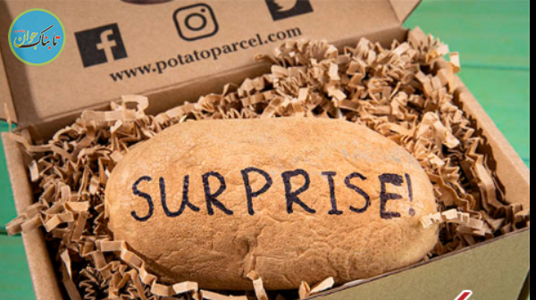 ثروتمند شدن یک جوان با ارسال سیب زمینی!