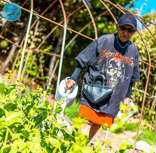 پیرمرد ۸۴ ساله، شاخ شبکه‌های اجتماعی شد +تصاویر