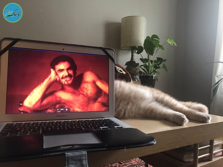 شکار لحظه ها از زاویه های جالب+ تصاویر