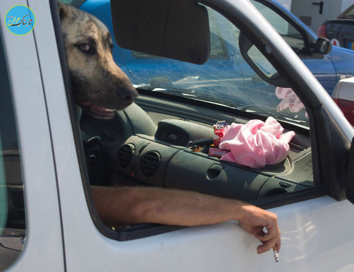 شکار لحظه ها از زاویه های جالب+ تصاویر