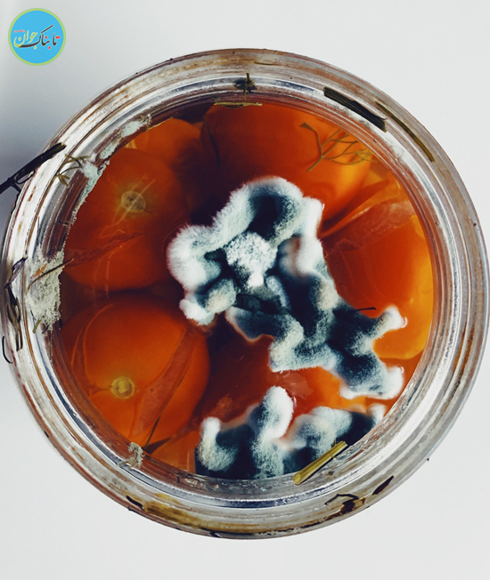 تصاویر زیبا از کَپَک!