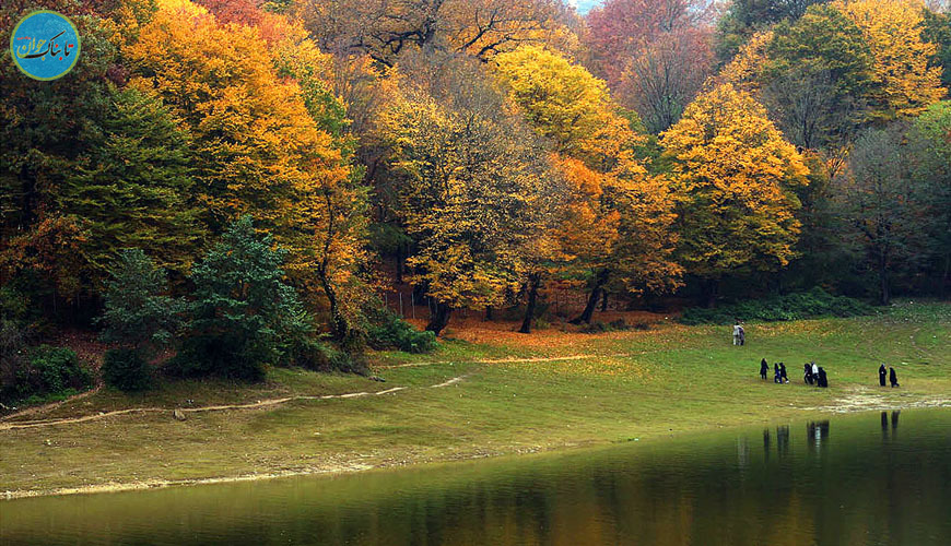 جنگل ناهارخوران، نگین زیبای ایران