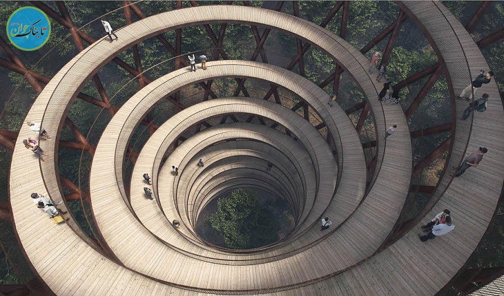 راهروی مارپیچ و رویایی برای قدم زدن بالای درختان