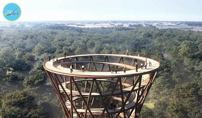 راهروی مارپیچ و رویایی برای قدم زدن بالای درختان