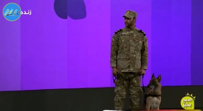 چرا به سگ «تولید داخل» به زبان فارسی دستور ندادند؟