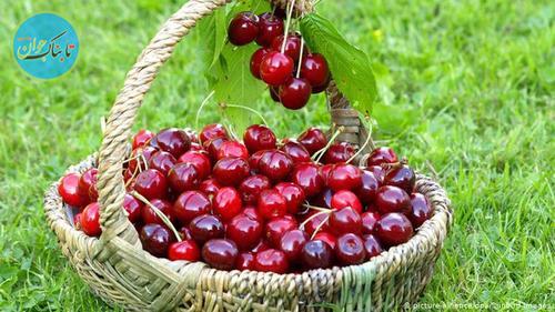 دوپینگ‌های طبیعی را بشناسید+عکس