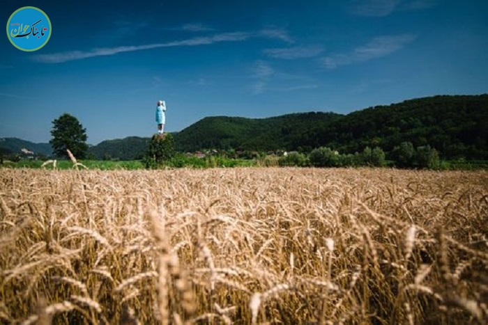 مجسمه پرحاشیه ملانیا ترامپ در اسلوونی!+ تصاویر