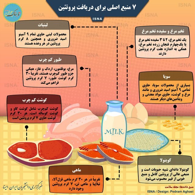 ۷ منبع اصلی برای دریافت پروتئین