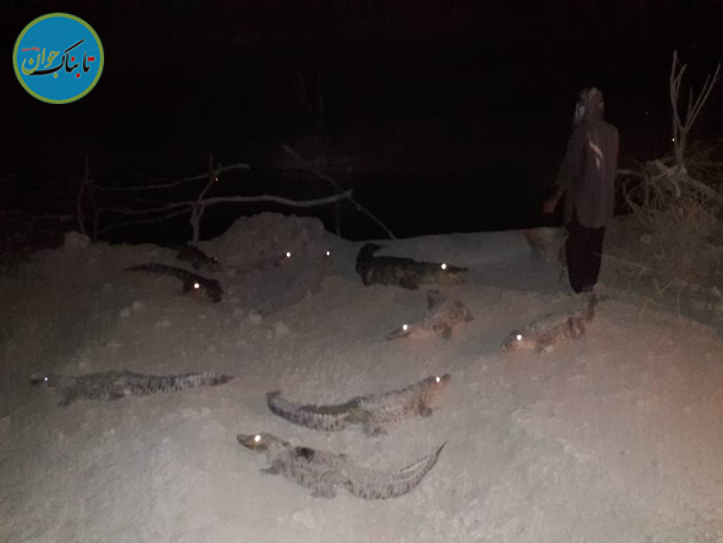 «ملک دنیا»؛ فرشته نجات گاندوهای ایران