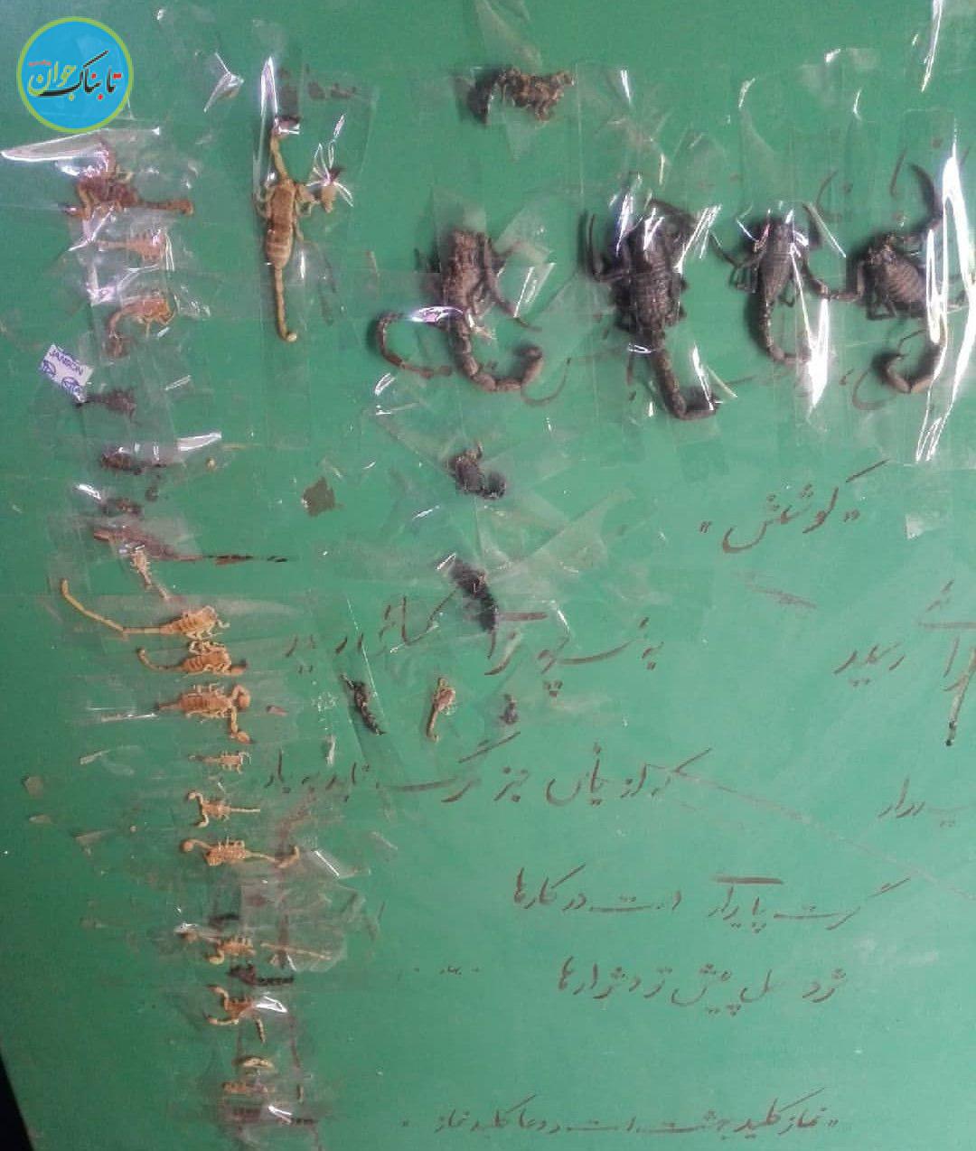 عکس هولناک یک معلم از مدرسه ای در ایذه + عکس