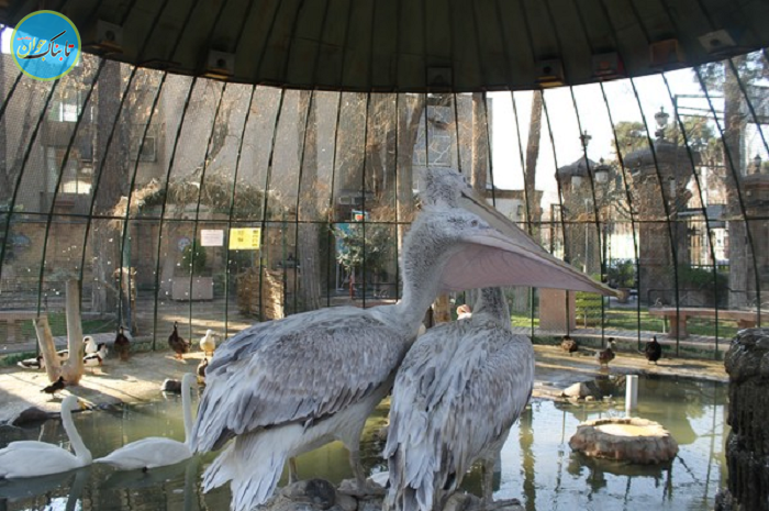 کارخانه ای که با یک دعوای زنانه ساخته شد!