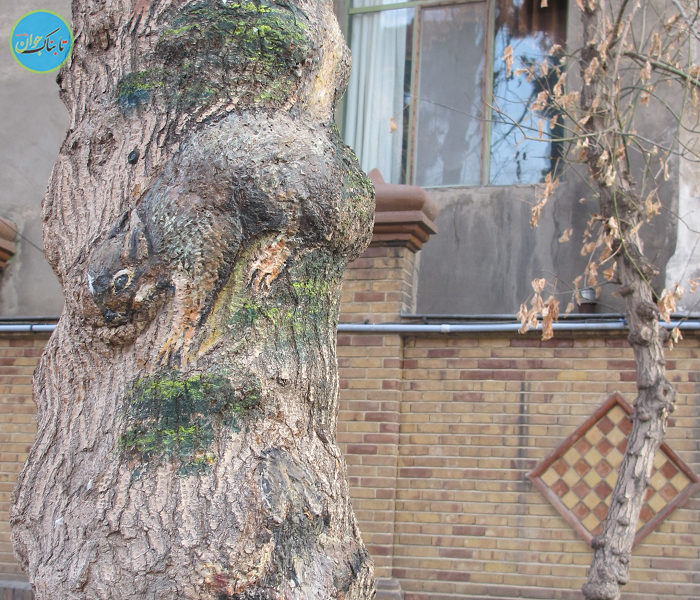 کارخانه ای که با یک دعوای زنانه ساخته شد!