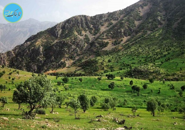 دره عشق، طبیعت وحشی بی مثال چهار محال و بختیاری