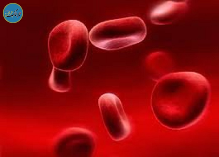 بسته خبری : اظهارات جنجالی آقای بازیگر در حمایت از نابرابری های اجتماعی