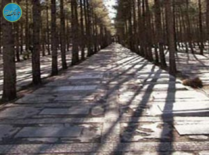 بسته خبری : اظهارات جنجالی آقای بازیگر در حمایت از نابرابری های اجتماعی