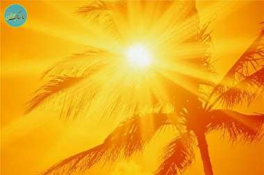 اقدام عجیب یک دوچرخه سوار بوشهری برای فرار از گرما+ فیلم