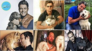 سگ‌ها و گربه‌ها، اولویت سلبریتی‌ها؟