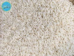 برنج امسال چقدر گران شد؟