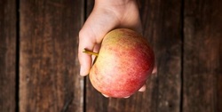 ۱۰۰ میکروب مفید سیب برای روده