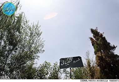 خسرو شکیبایی در لابه‌لای خاطره‌های امین حیایی