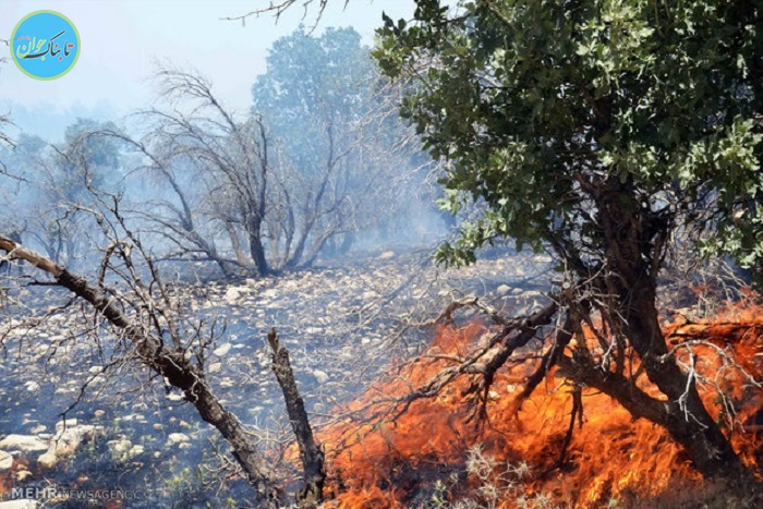 جنگل‌های ارسباران